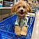 Toby