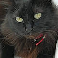Ghislaine S.