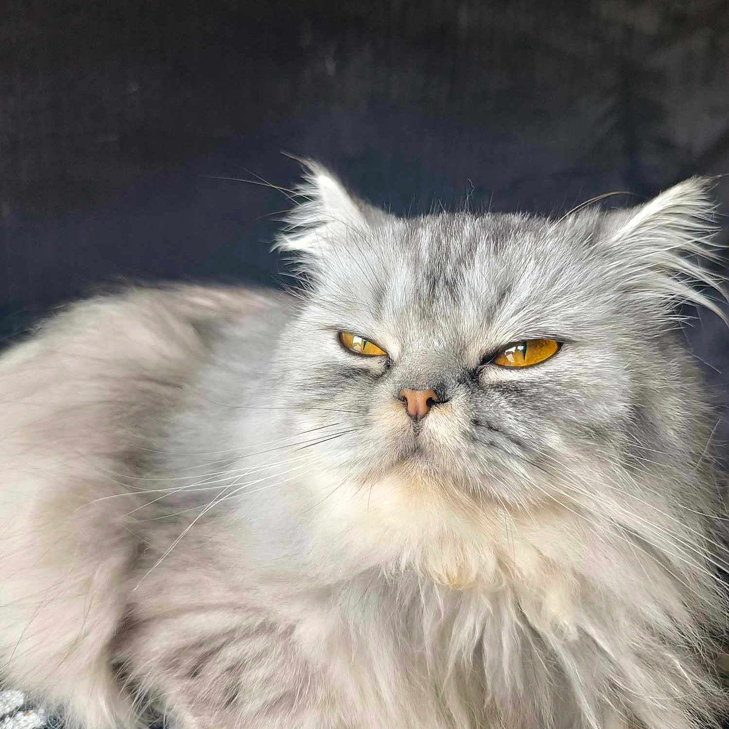 Mi-krot