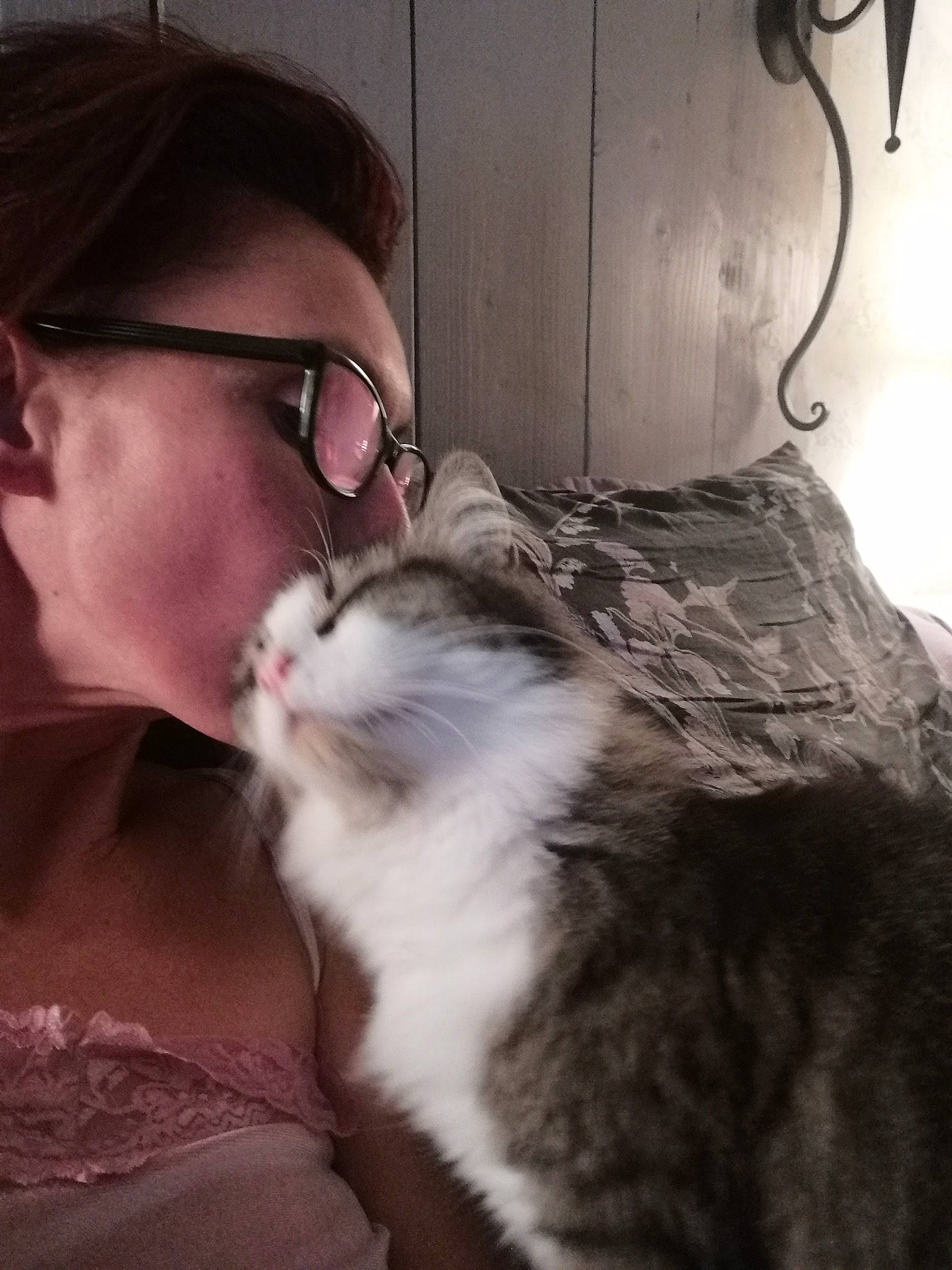 Brioche participe au concours pour gagner de l'argent avec cette photo : asian, carnivore, cat, domestic_long_haired_cat, domestic_short_haired_cat, ear, european_shorthair, felidae, fur, gesture, glasses, kitten, munchkin, norwegian_forest_cat, nose, small_to_medium_sized_cats, whiskers