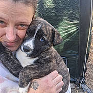 Mollie is registered to the contest to win money with this photo: person, puppy, dog, brindle, blue_eyes, tattoo, hug, outdoor, close_up, face, affection, warmth, smile, hand, animal, pet, fur, cuddle, casual_clothing, nature