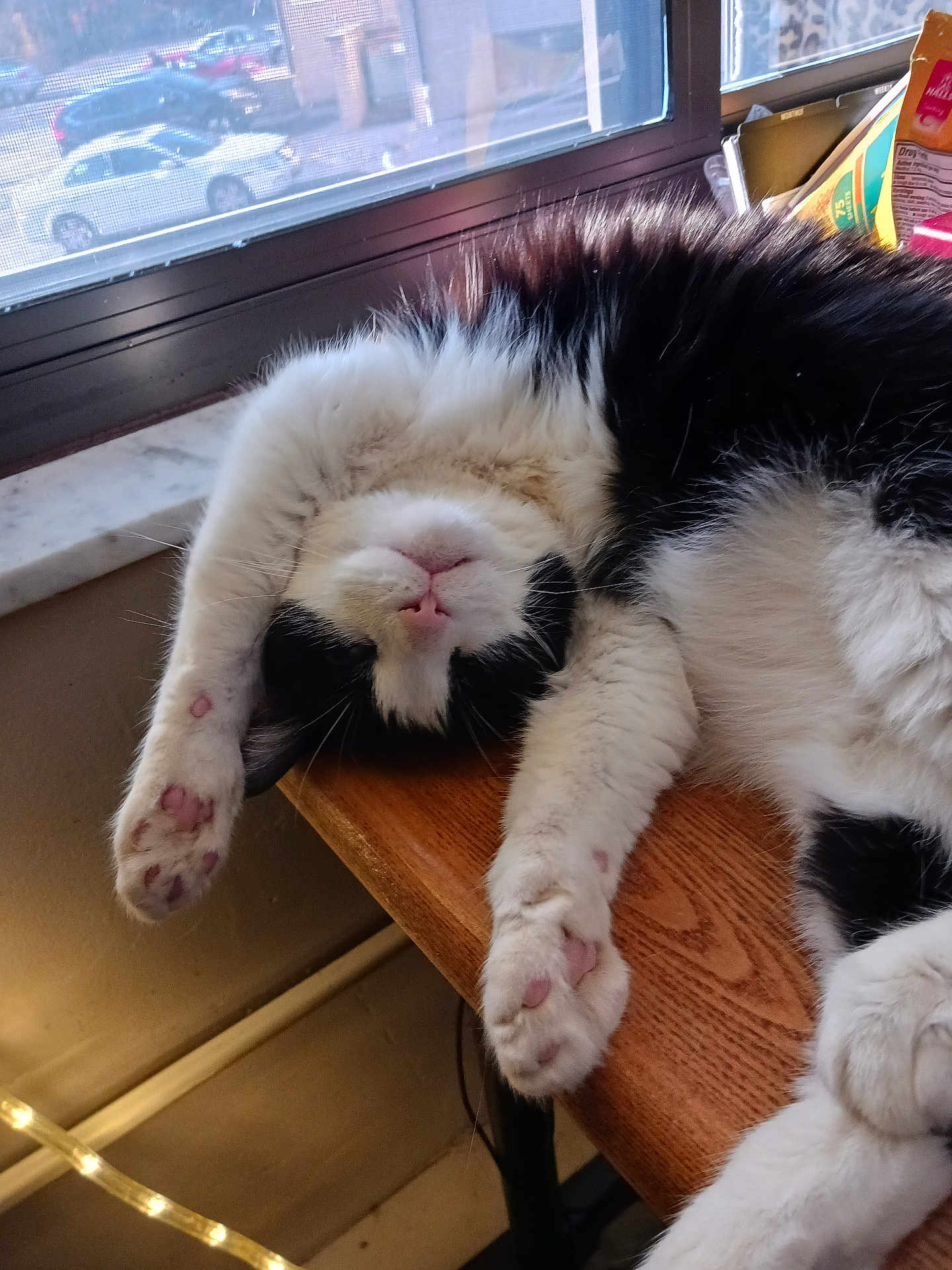 Sylvester