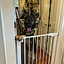 dog, german_shepherd, pet, indoor, baby_gate, tongue_out, happy, wooden_floor, door, laundry_basket, household_items, furniture, animal, guard_dog, ears_up, standing, leisure, domestic, playful, canine