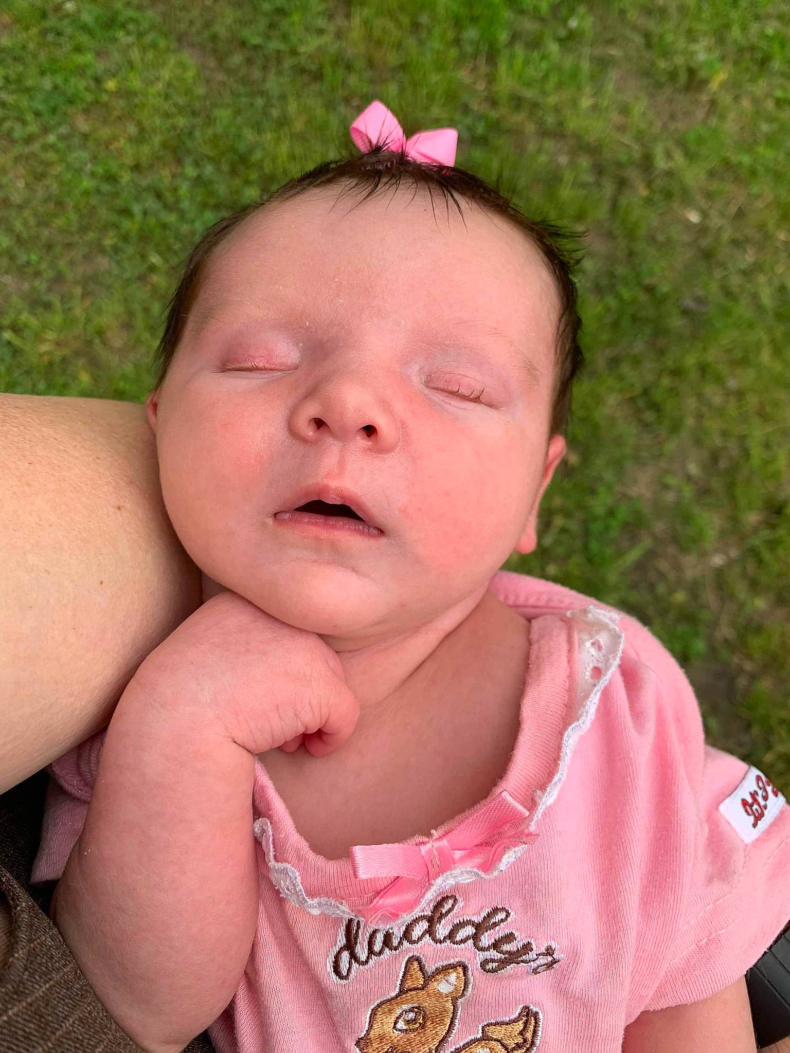 Lilliana joined the competition — help win amazing prizes! baby, baby_toddler_clothing, cheek, eyebrow, eyelash, face, finger, grass, happy, head, lip, mouth, neck, nose, organ, person, pink, plant, skin, sleeve