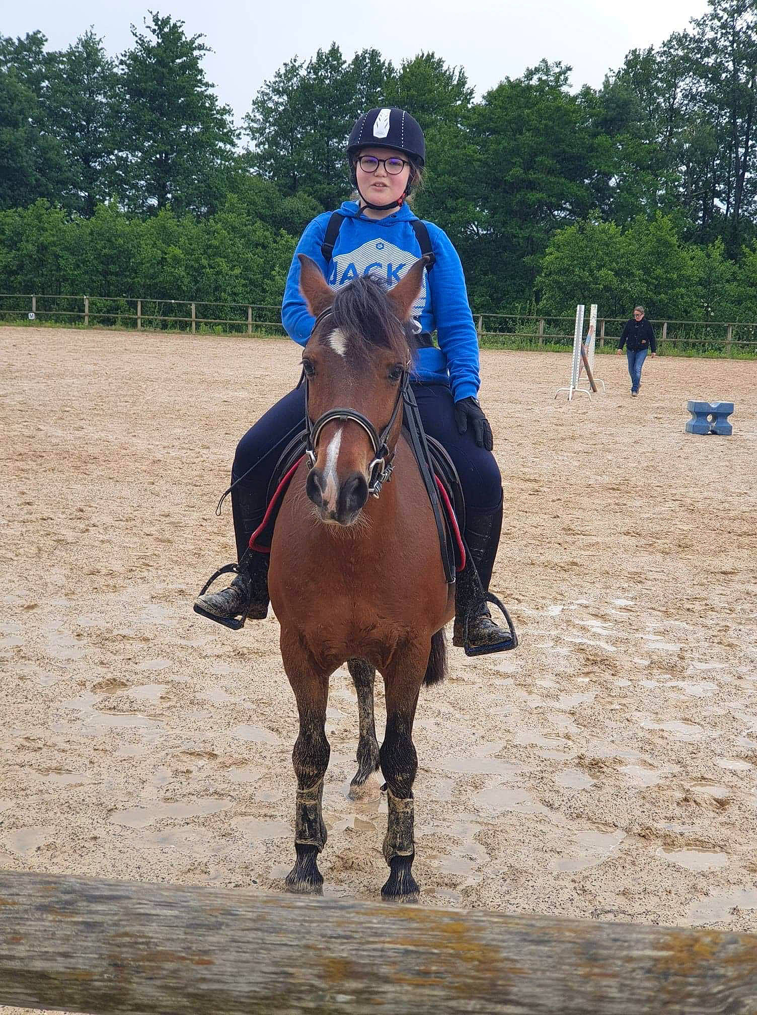 Vi Ail Py participe au concours pour gagner de l'argent avec cette photo : animal_sports, bridle, english_riding, equestrian, equestrian_sport, equestrianism, equitation, halter, horse, horse_supplies, mammal, mare, outdoor_recreation, recreation, rein, saddle, sports, stallion, trail_riding, vertebrate