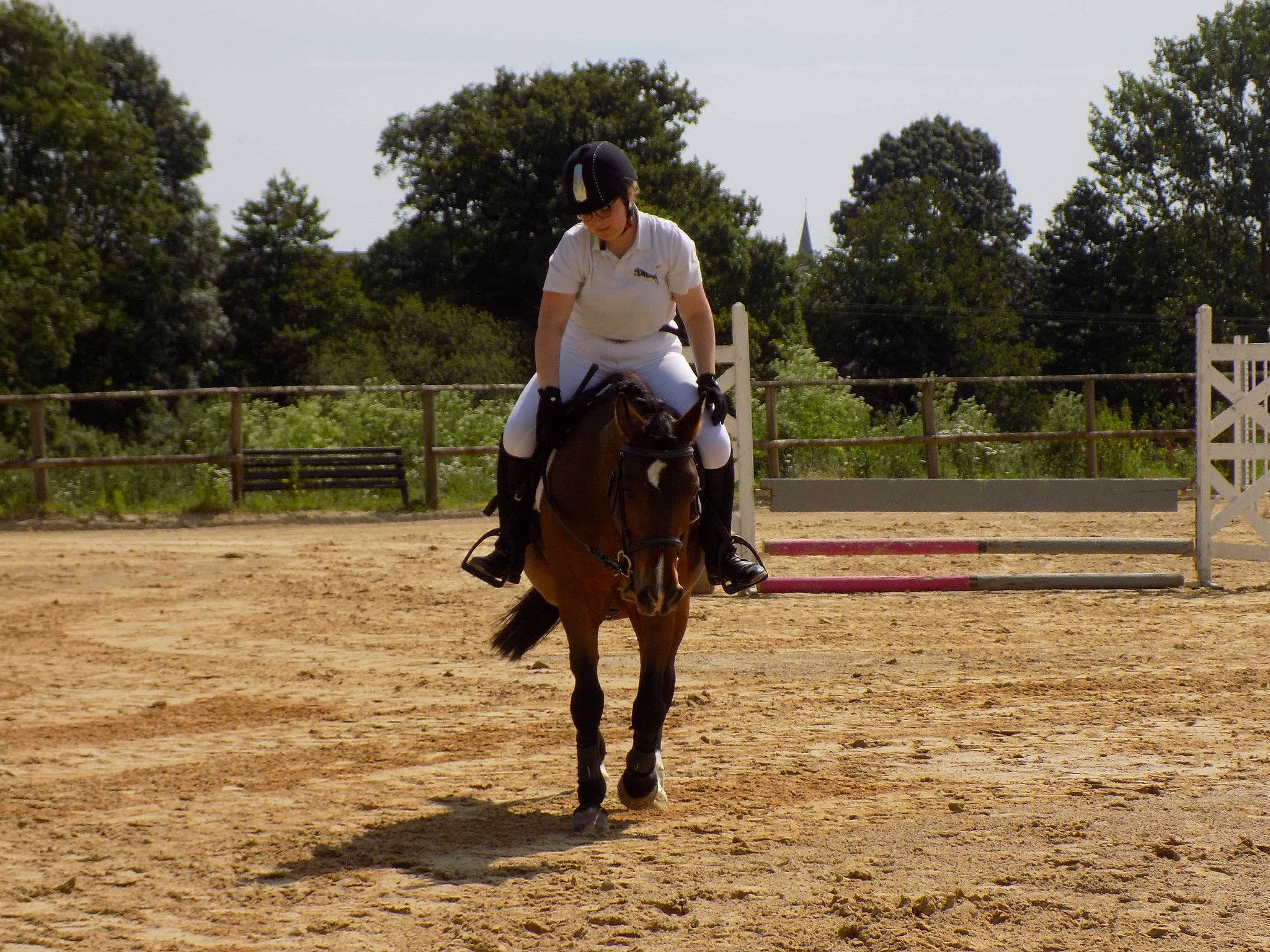 Vi Ail Py a rejoint le concours — aidez-le/la à gagner de superbes lots ! animal_sports, bridle, dressage, english_riding, equestrian, equestrian_sport, equestrianism, equitation, eventing, halter, horse, horse_supplies, horse_tack, mammal, outdoor_recreation, rein, saddle, sports, vertebrate, western_riding