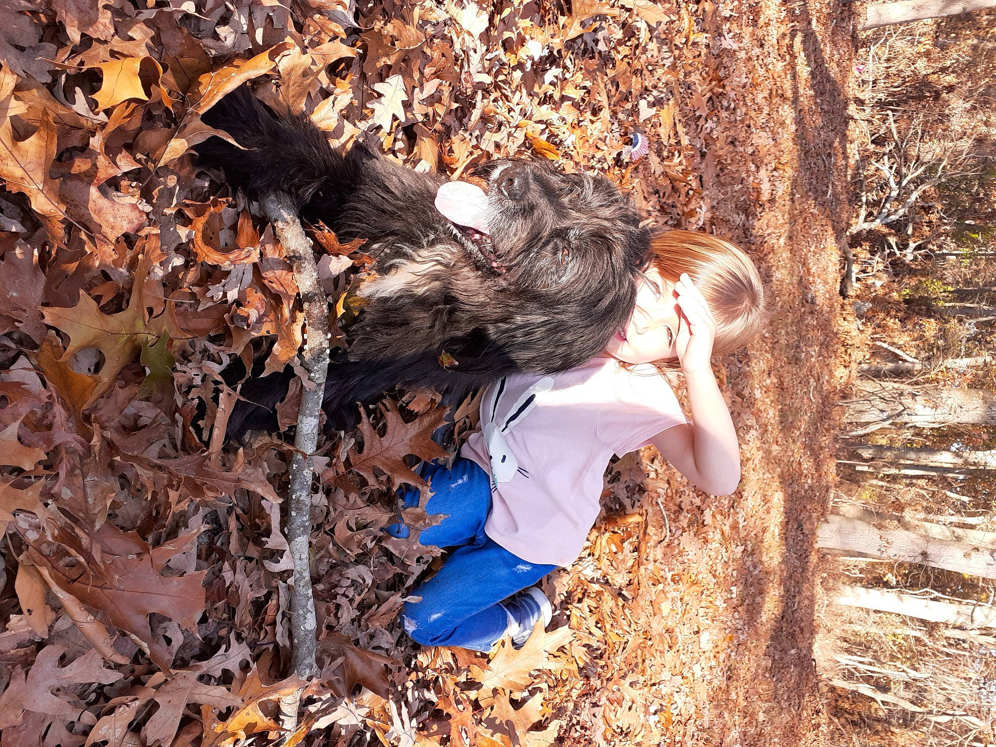 Chewy Chewbacca joined the competition — help win amazing prizes! biome, botany, branch, deciduous, grass, hair, happy, leaf, mammal, natural_environment, natural_landscape, nature, organism, people_in_nature, sunlight, trunk, twig, vertebrate, wood, woody_plant