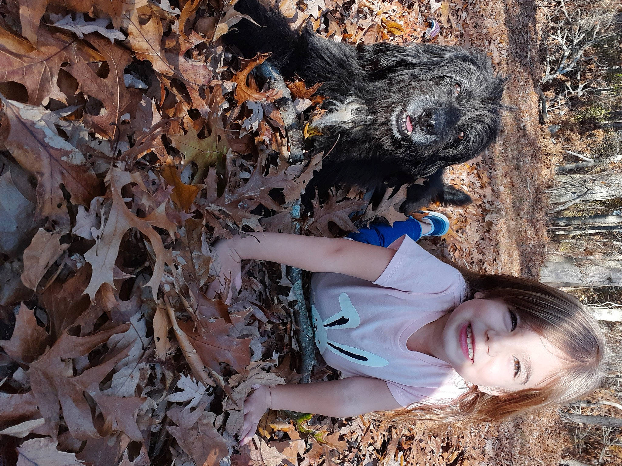 Chewy Chewbacca joined the competition — help win amazing prizes! forest, fun, fur, grass, leaf, metal, people_in_nature, plant, recreation, rock, scrap, smile, soil, tree, trunk, winter, wood, woody_plant