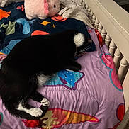 Simon joined the competition — help win amazing prizes! bed, black_and_white, blanket, carpet, cat, childrens_room, colorful, cozy, crib, cute, fabric, fur, indoor, paw, plush_toy, resting, sleeping, stuffed_animal, toy, whiskers