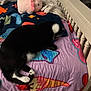 bed, black_and_white, blanket, carpet, cat, childrens_room, colorful, cozy, crib, cute, fabric, fur, indoor, paw, plush_toy, resting, sleeping, stuffed_animal, toy, whiskers