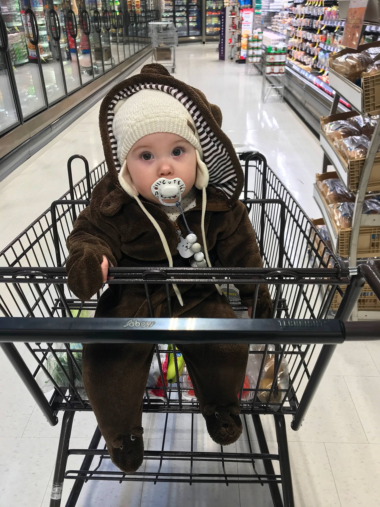 Hayleigh joined the competition — help win amazing prizes! cart, child, headwear, person, retail, shopping, shopping_cart, supermarket, vehicle