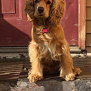 Isabella joined the competition — help win amazing prizes!