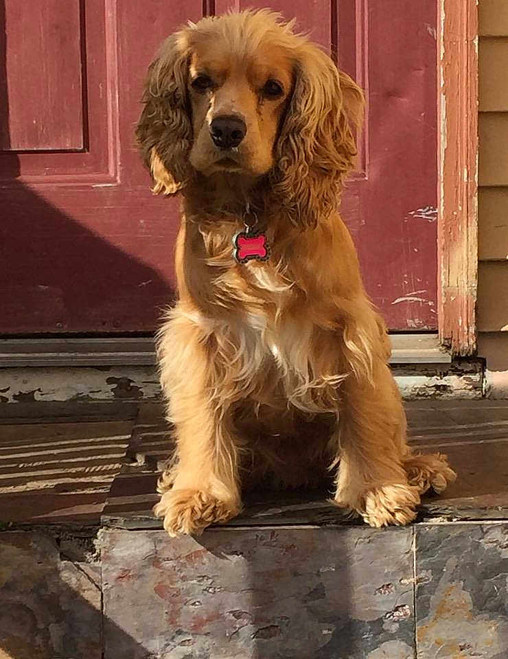 Isabella joined the competition — help win amazing prizes!