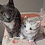 cat, stuffed_animal, gray_cat, white_markings, bed, blanket, floral_pattern, plush_toy, indoor, pet, feline, curious, closeup, whiskers, ears, eyes, soft_toys, cozy, domestic, animal