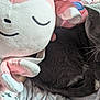 cat, plush_toy, grey_cat, sleeping, cute, soft, cozy, stuffed_animal, indoor, close_up, nap, pet, fur, whiskers, pink, white, fabric, comfort, resting, animal