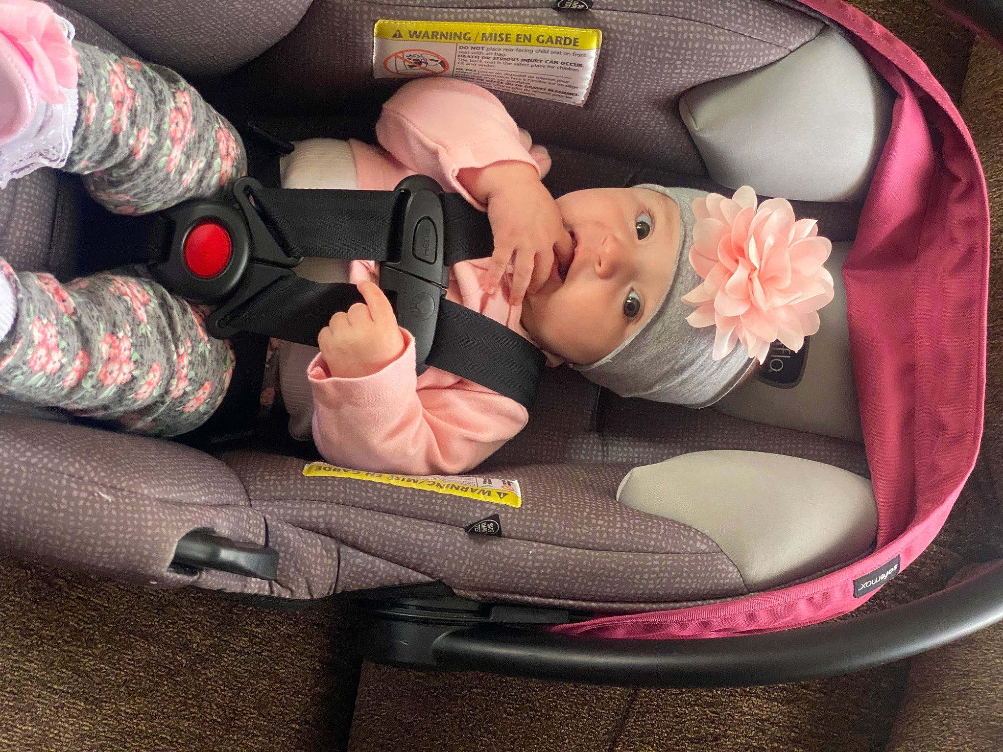 Annalisa is registered to the contest to win money with this photo: arm, auto_part, automotive_design, baby, baby_carriage, baby_in_car_seat, baby_products, bag, car_seat, carmine, comfort, fashion_accessory, hand, headwear, human_leg, material_property, nail, person, pink, product