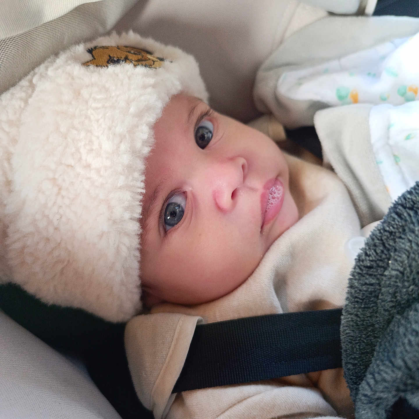 Ezio participe au concours pour gagner de l'argent avec cette photo : baby, bed, blanket, bodypart, bonnet, cap, clothing, face, finger, furniture, hand, hat, head, hood, knitwear, newborn, person, photography, portrait, sweater