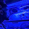 Brittan is registered to the contest to win money with this photo: man, newborn, incubator, hospital, neonatal_unit, blue_light, baby, medical_equipment, blanket, care, tubes, face, portrait, healthcare, patient, love, father, premature_baby, intensive_care, close_up