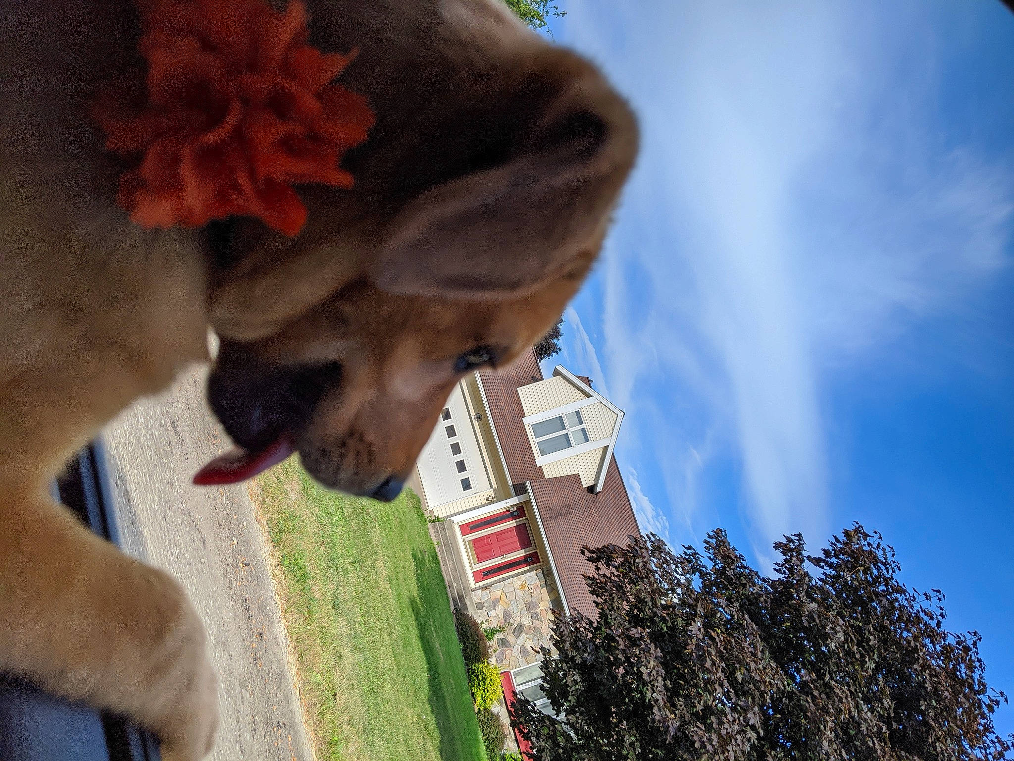 Eleanor joined the competition — help win amazing prizes! architecture, blue, cloud, flower, leaf, photography, plant, sculpture, sky, statue, tourism, tree