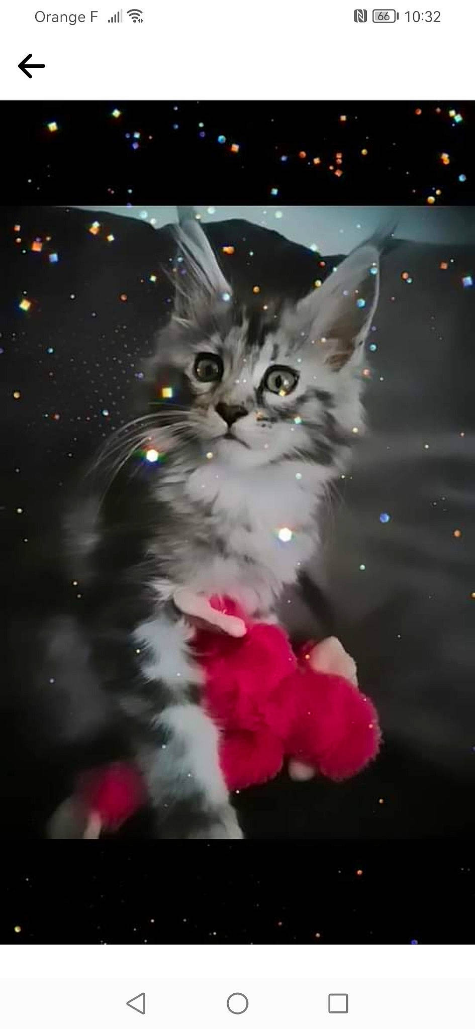 Tessa a rejoint le concours — aidez-le/la à gagner de superbes lots ! art, carnivore, cat, darkness, event, felidae, fictional_character, font, fur, graphics, illustration, midnight, pattern, petal, photo_caption, small_to_medium_sized_cats, snout, space, tail, whiskers