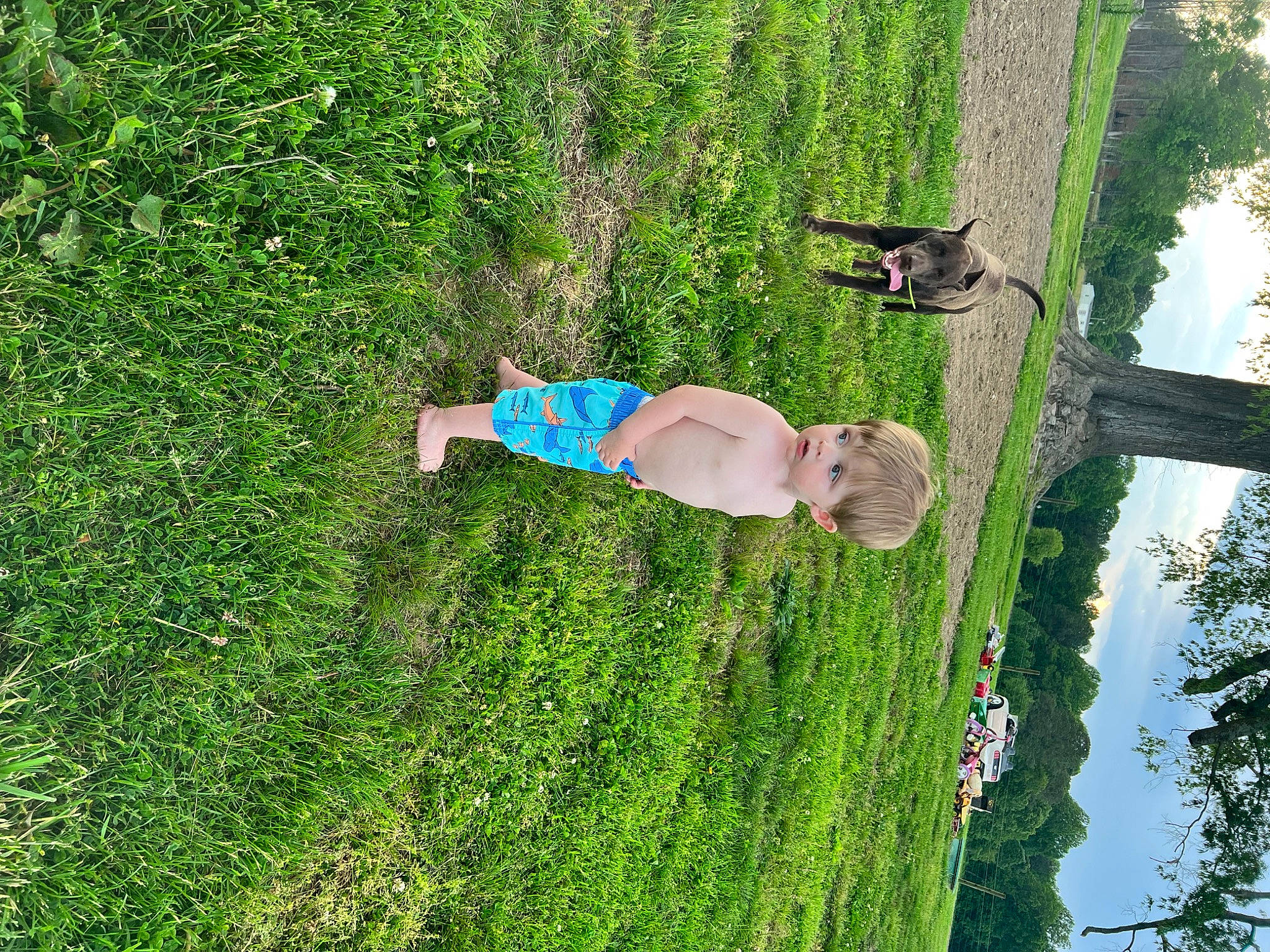 Weston is registered to the contest to win money with this photo: biome, elbow, fun, garden, grass, grass_family, grassland, groundcover, landscape, lawn, leisure, people_in_nature, person, plant, recreation, shrub, sky, tree, vegetation, water