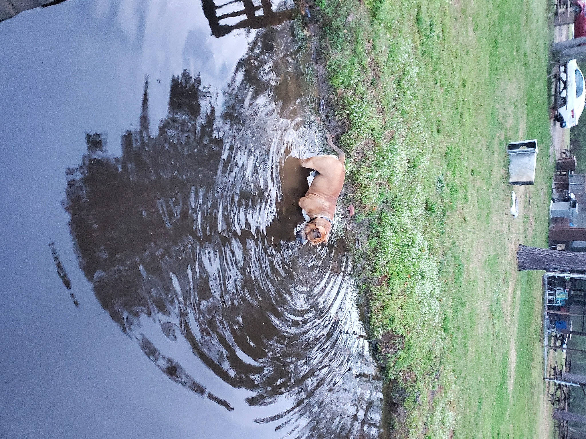 Tank A.k.a.beef Cake is registered to the contest to win money with this photo: adventure, art, building, canal, fun, grass, lake, landscape, leisure, plant, recreation, reflection, shadow, sky, tree, wall, water, watercourse, waterway, wheel