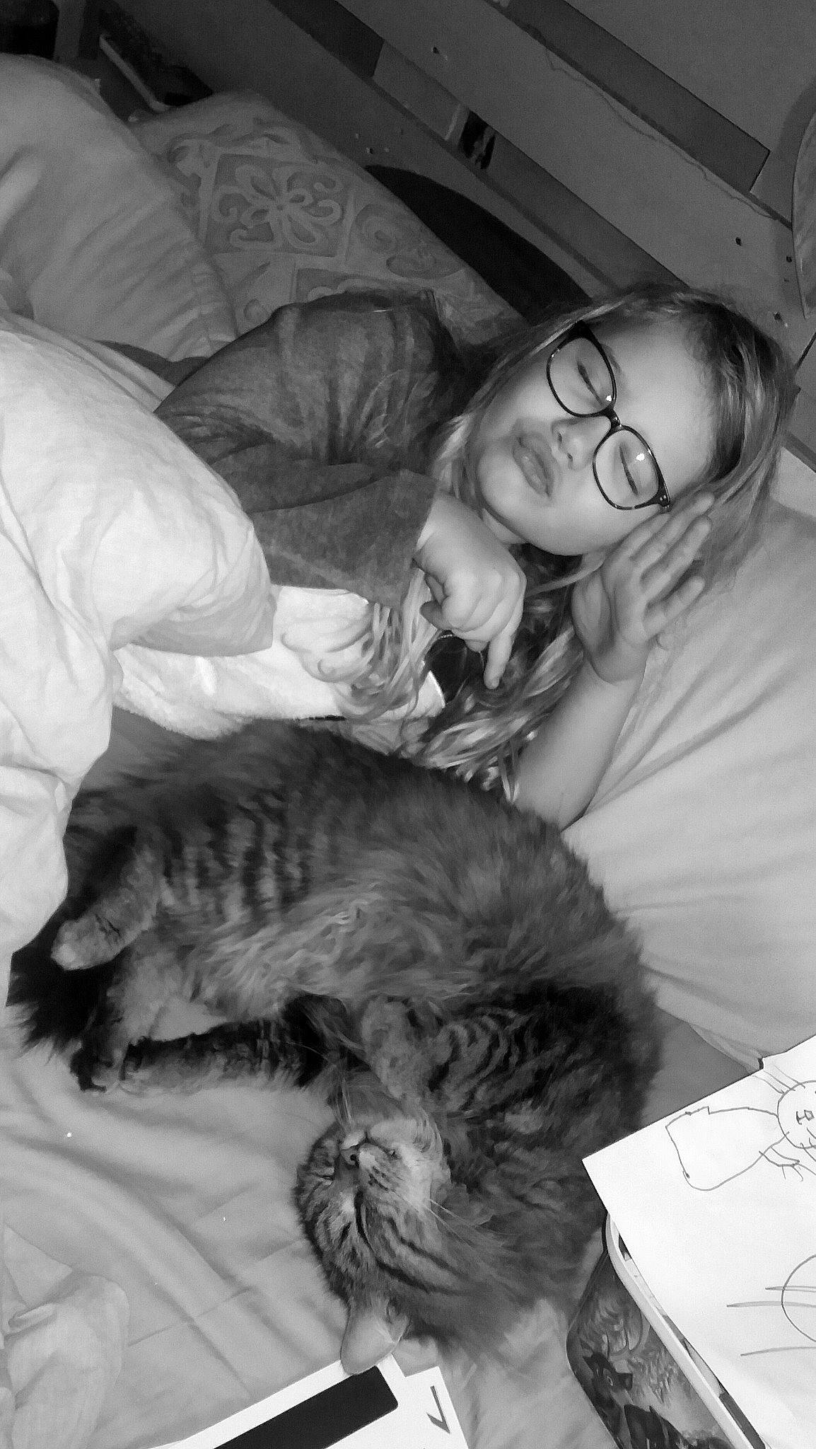 Lou-kiara a rejoint le concours — aidez-le/la à gagner de superbes lots ! black, black_and_white, cat, cat_like_mammal, eye, face, head, human, kitten, mammal, monochrome, monochrome_photography, nose, photograph, sitting, small_to_medium_sized_cats, snapshot, vertebrate, whiskers, white