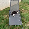 cat, black_and_white, tuxedo_cat, animal, pet, sitting, lying_down, relaxed, outdoor, garden, grass, lawn, chair, recliner, patio_furniture, backyard, stucco_wall, portrait, daylight, peaceful