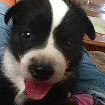 Buster