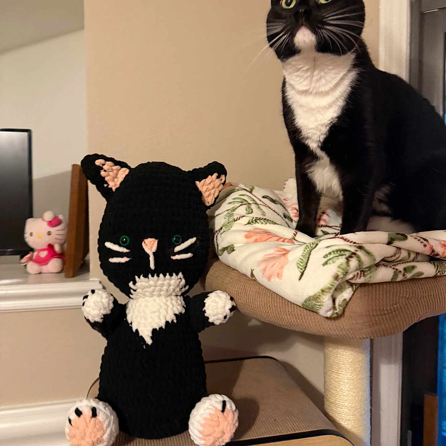 Cookie joined the competition — help win amazing prizes! animal, black_and_white, blanket, cat, cat_tree, chair, cozy, curious, decor, feline, floral_pattern, hello_kitty, indoors, knitted_toy, pet, stuffed_toy, toy, tuxedo_cat, windowsill, wood