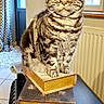 cat, tabby_cat, pet, animal, portrait, sitting, books, stacked_books, indoors, home, window, curtains, radiator, table, furniture, striped_fur, whiskers, ears, yellow_eyes, cozy