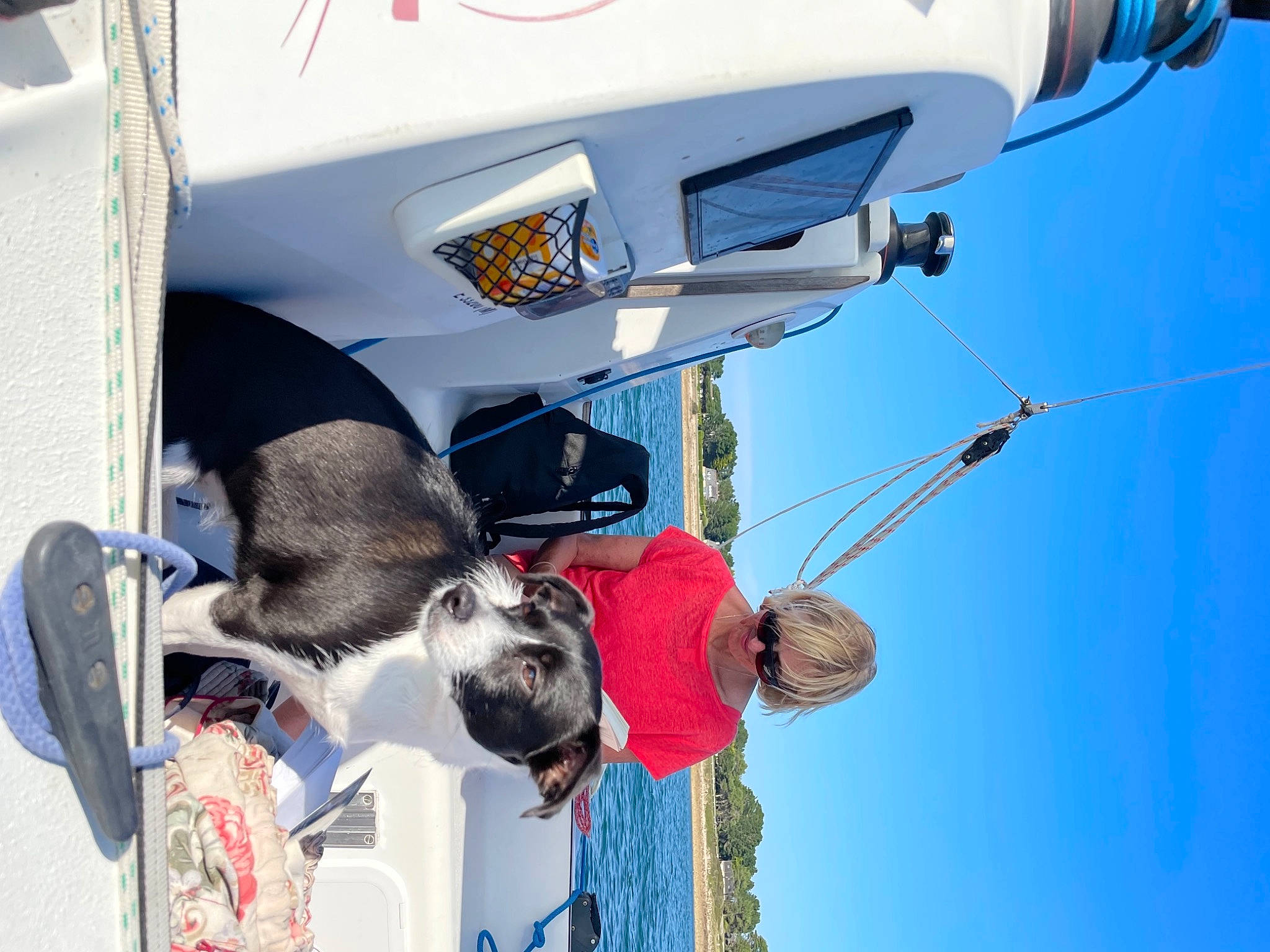 Pomme a rejoint le concours — aidez-le/la à gagner de superbes lots ! adventure, air_travel, automotive_exterior, blue, carnivore, dog, electric_blue, fun, hat, leisure, motor_vehicle, naval_architecture, recreation, sky, sporting_group, transport, travel, vehicle, white