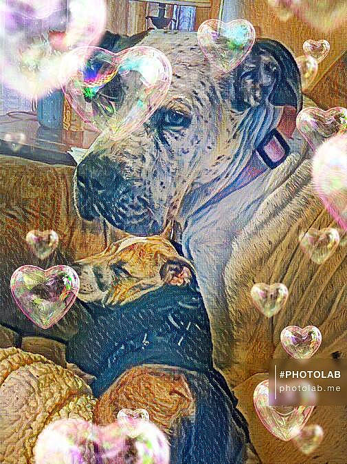 Lexie is registered to the contest to win money with this photo: art, bulldog, drawing, elephant, elephants_and_mammoths, event, fawn, illustration, indian_elephant, magenta, painting, pattern, sculpture, snout, terrestrial_animal, visual_arts, watercolor_paint, wildlife, working_animal, wrinkle