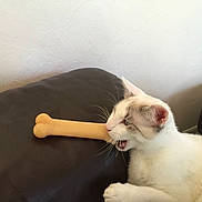 Clark is registered to the contest to win money with this photo: