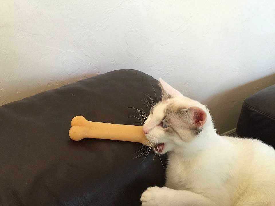 Clark is registered to the contest to win money with this photo: