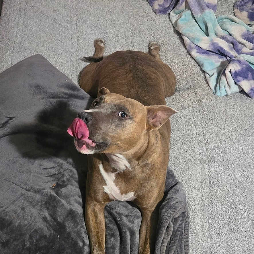 Fattybutt