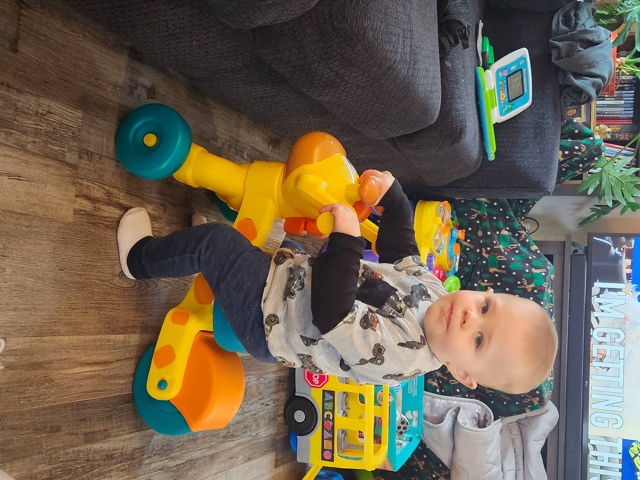 Sterling is registered to the contest to win money with this photo: animation, baby, baby_products, baby_toys, child, fictional_character, fun, leisure, person, plastic, play, plush, recreation, stuffed_toy, toddler, toy, toy_vehicle, tree, wood