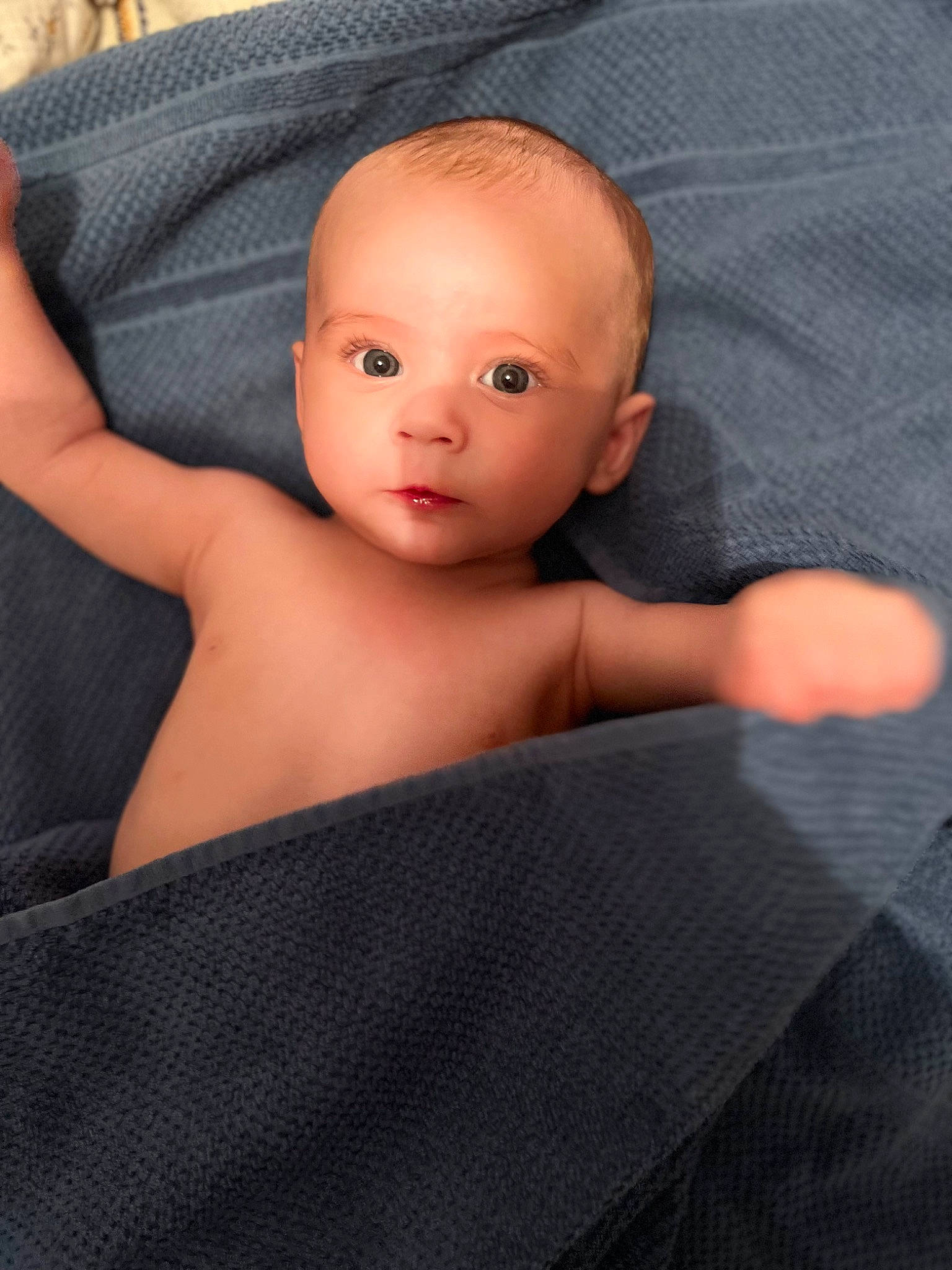 Illan participe au concours pour gagner de l'argent avec cette photo : baby, cheek, chest, child, chin, close_up, comfort, eyebrow, eyelash, finger, flash_photography, joint, linens, lip, nose, person, sitting, skin, stomach, toy