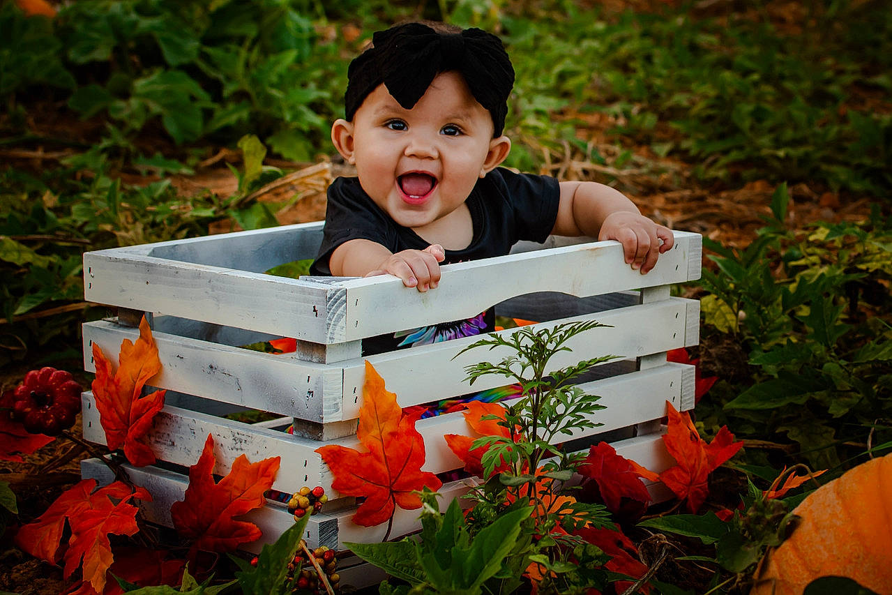 Anastasia is registered to the contest to win money with this photo: baby, botany, child, crate, dress, garden, grass, happy, leisure, orange, organ, people_in_nature, person, photograph, plant, red, sitting, smile, toddler, tree