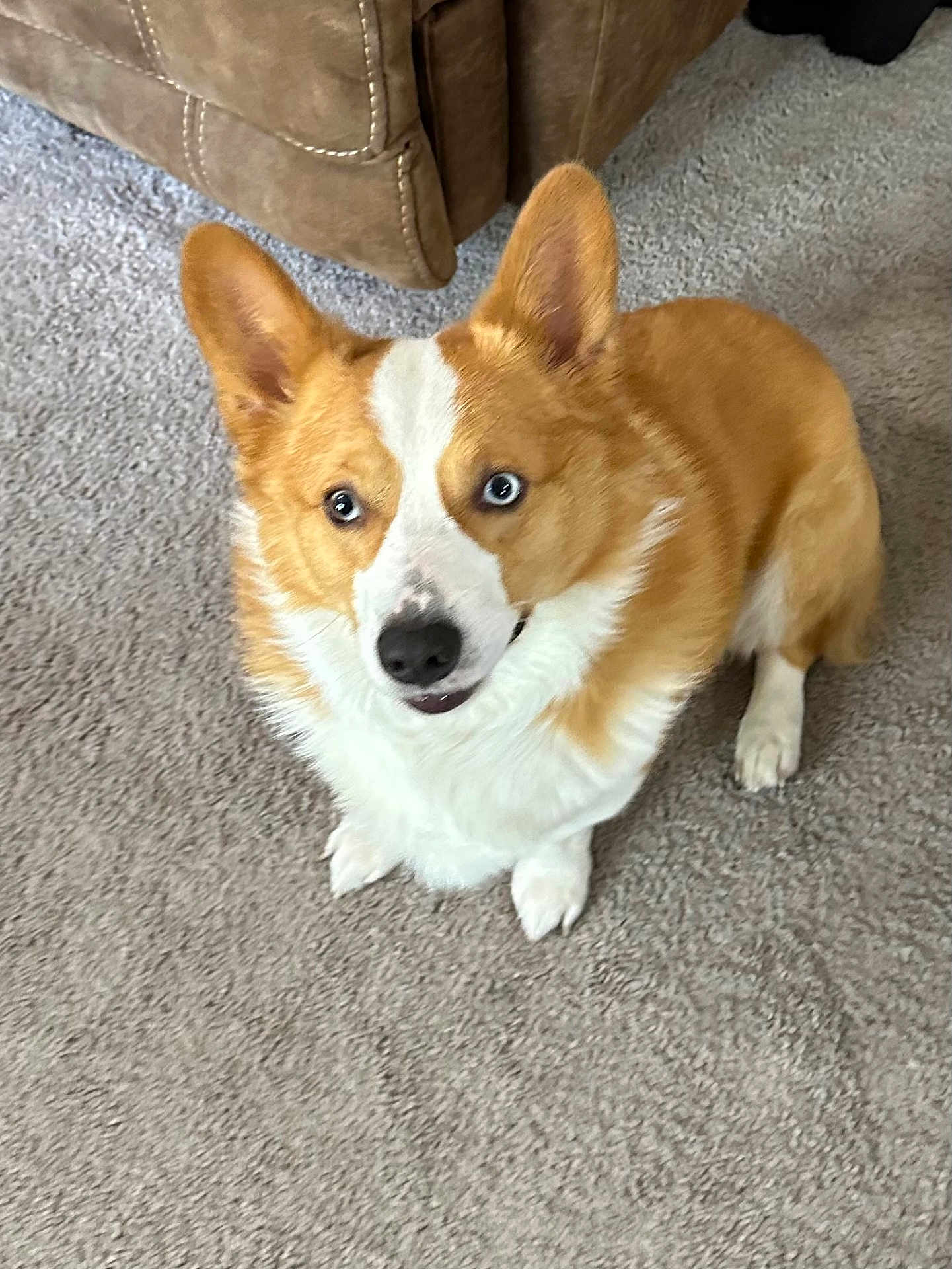 Mozzy