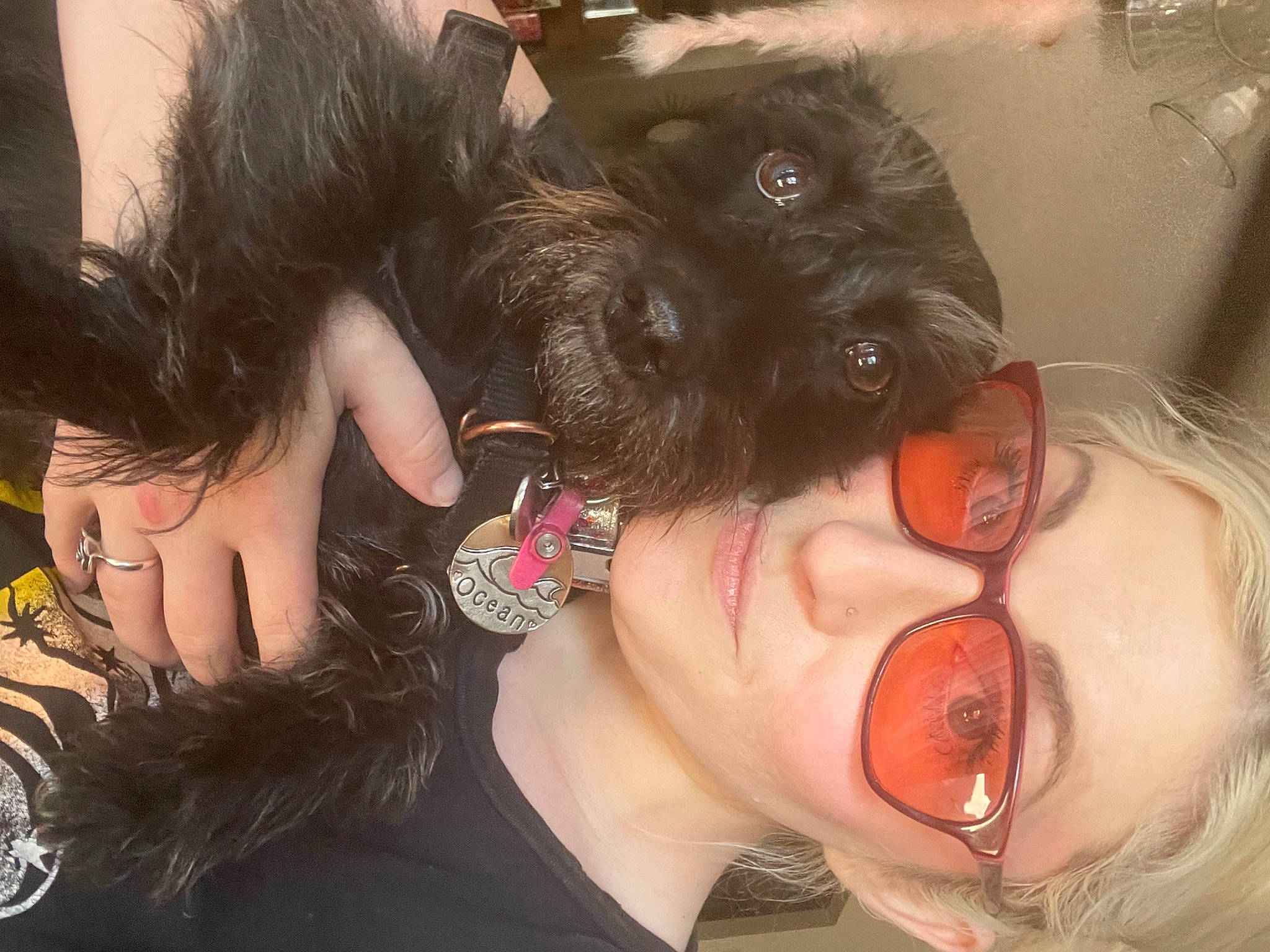 Ocean joined the competition — help win amazing prizes! black_hair, carnivore, companion_dog, cool, dog, dog_breed, ear, eyebrow, eyelash, eyewear, finger, gesture, human_body, jaw, mouth, neck, nose, organ, skin, vision_care