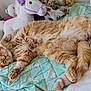 Ryu participe au concours pour gagner de l'argent avec cette photo : animal, bed, cat, comfort, cozy, cute, feline, fluffy, indoor, orange_tabby, pet, plush_toy, purple, quilt, relaxed, resting, sleeping, soft, stuffed_animal, white_horse
