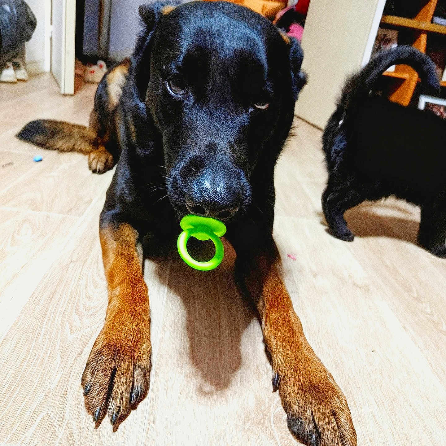 Max