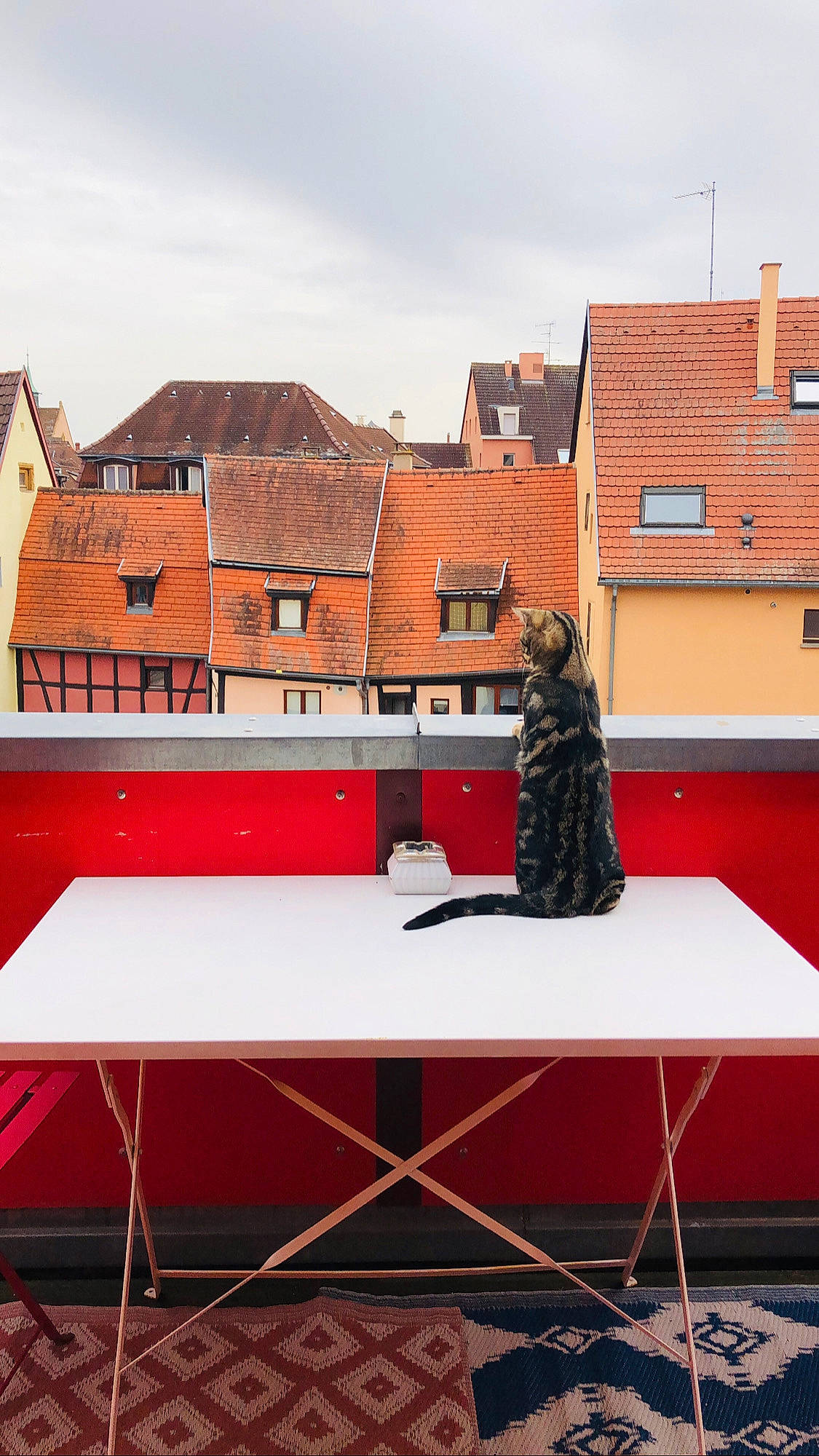 Roger a rejoint le concours — aidez-le/la à gagner de superbes lots ! architecture, building, city, facade, flooring, home, house, leisure, magenta, recreation, rectangle, red, roof, room, shade, sky, table, tints_and_shades, window, wood