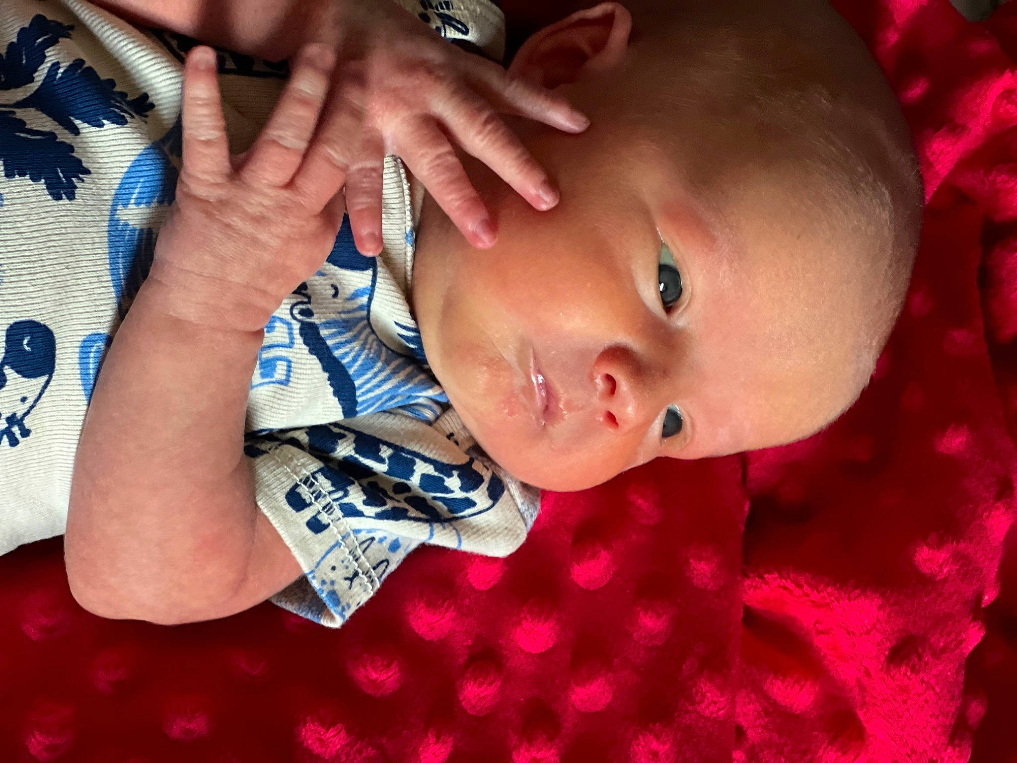 William is registered to the contest to win money with this photo: baby, baby_toddler_clothing, black_hair, cheek, cool, ear, eye, eyelash, finger, gesture, hand, happy, lip, mouth, nose, person, skin, sleeve, smile, thumb