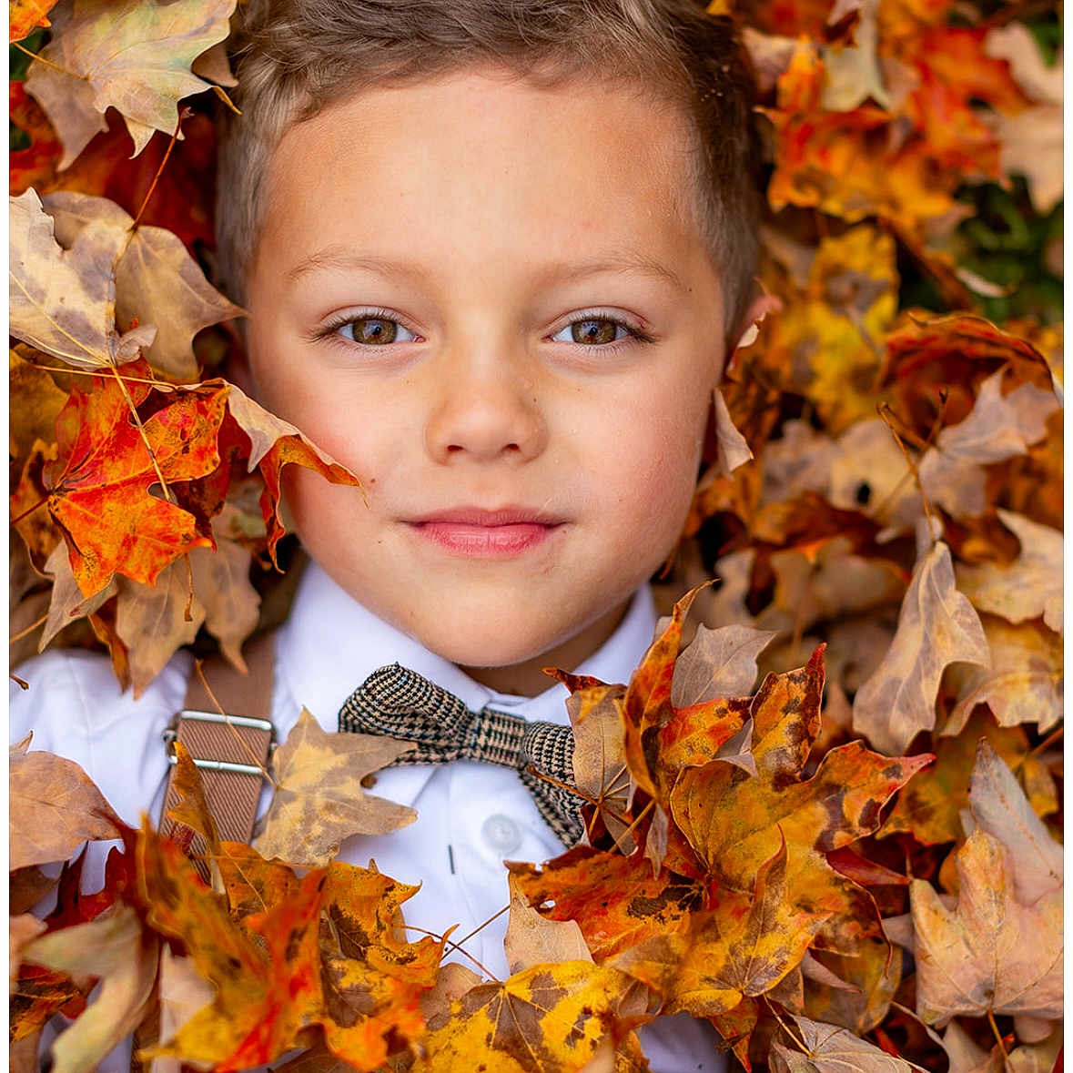 Elijah is registered to the contest to win money with this photo: autumn, bow_tie, boy, child, close_up, clothing, colorful, cute, face, fall, happy, leaf_pile, leaves, nature, outdoor, portrait, seasonal, smile, white_shirt, young