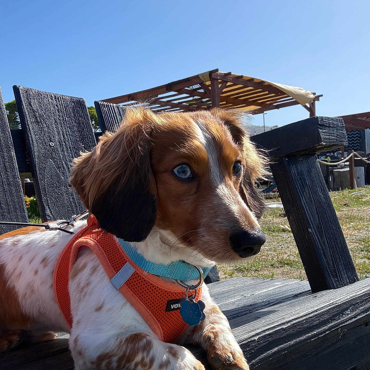 Charlie