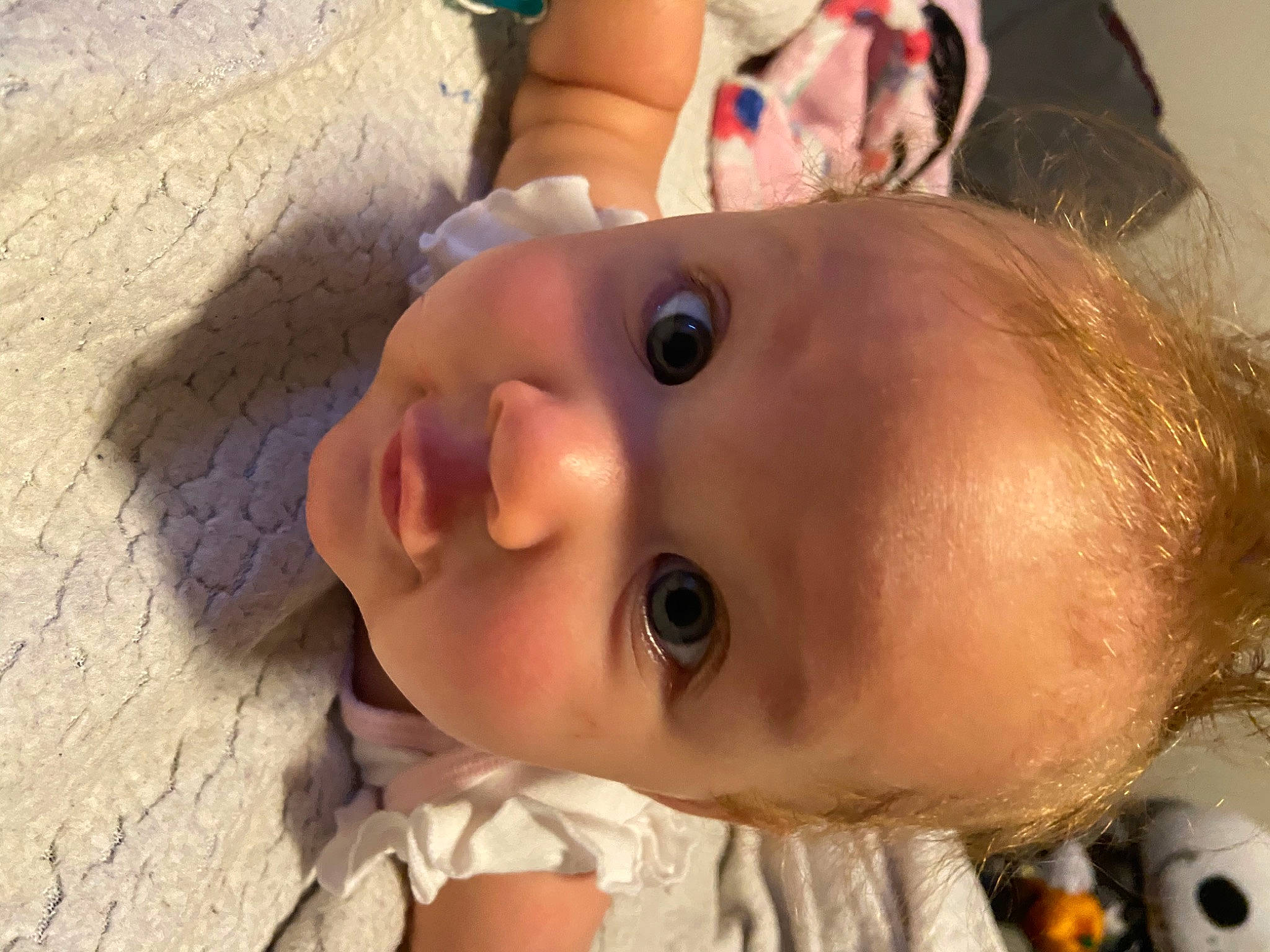 Amilia is registered to the contest to win money with this photo: baby, cheek, child, ear, eye, face, forehead, head, iris, lip, mouth, nose, person, skin, toddler