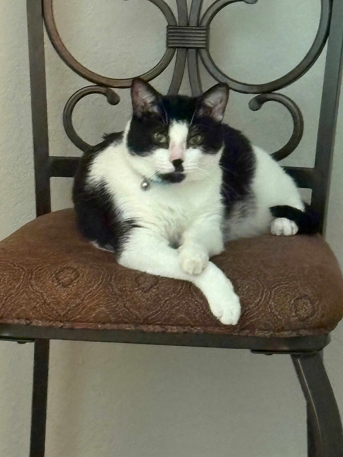 Oreo