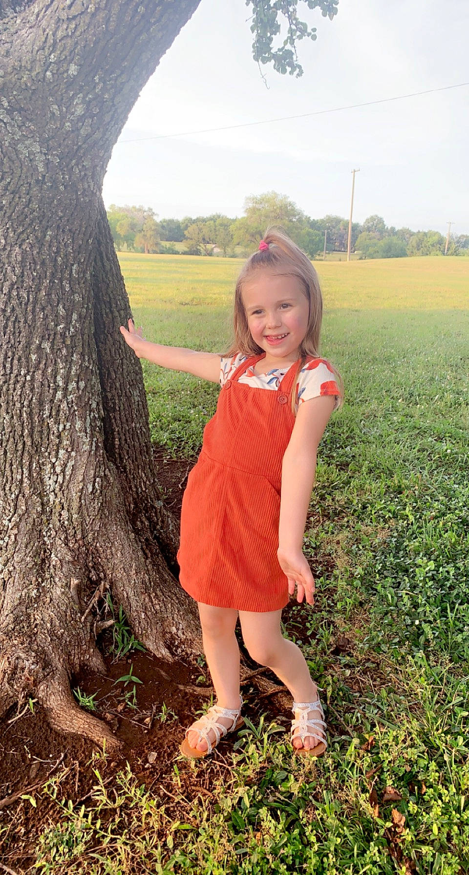 Whisper joined the competition — help win amazing prizes! day_dress, facial_expression, grass, grass_family, grassland, happy, human_body, joy, leg, long_hair, people_in_nature, person, plant, sky, smile, standing, sunlight, toddler, tree, trunk